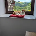Pferdeparadies Stein Apartment Stierberg