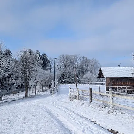 Pferdeparadies Stein *