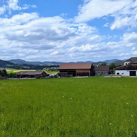 Pferdeparadies Stein *