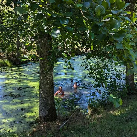 Pferdeparadies Stein *