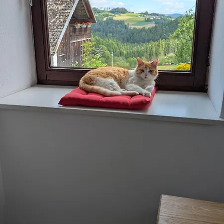 Pferdeparadies Stein 아파트 Stierberg