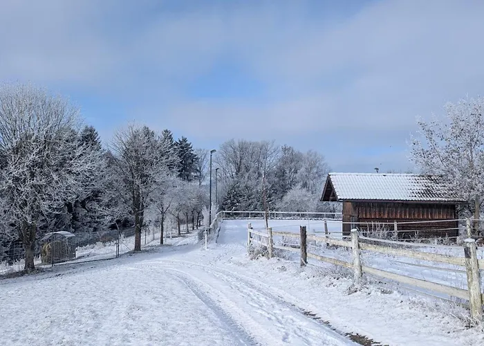 Pferdeparadies Stein *