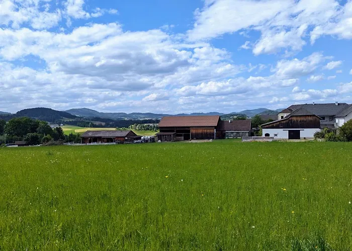 Pferdeparadies Stein *