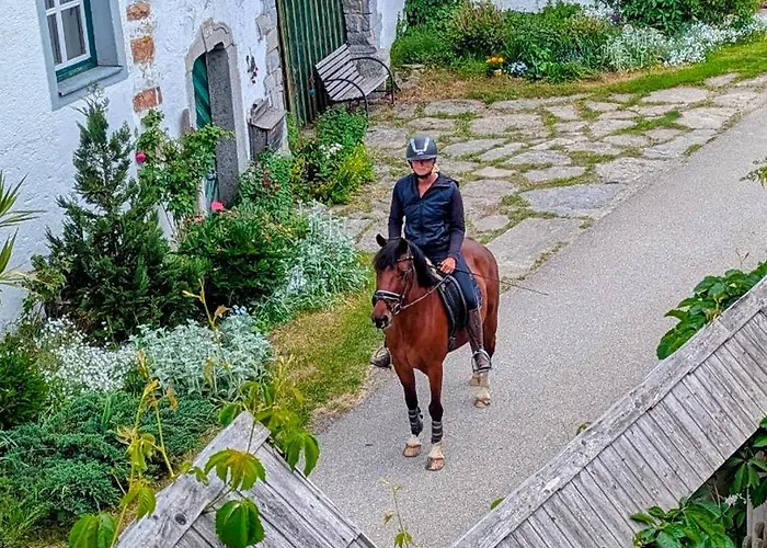 Pferdeparadies Stein * Stierberg