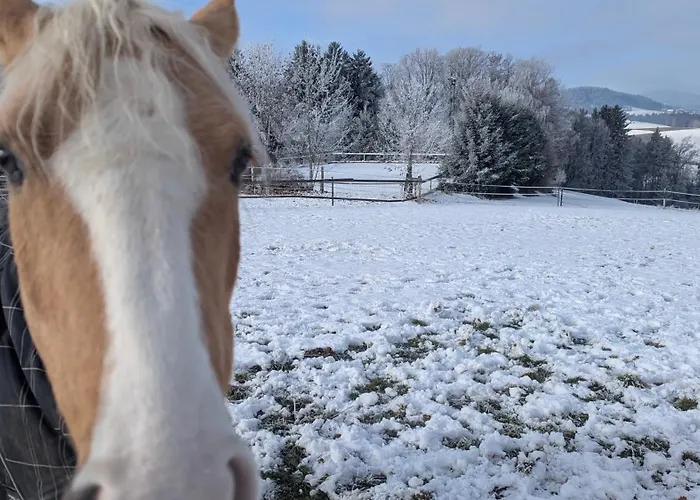 Apartment Pferdeparadies Stein Stierberg