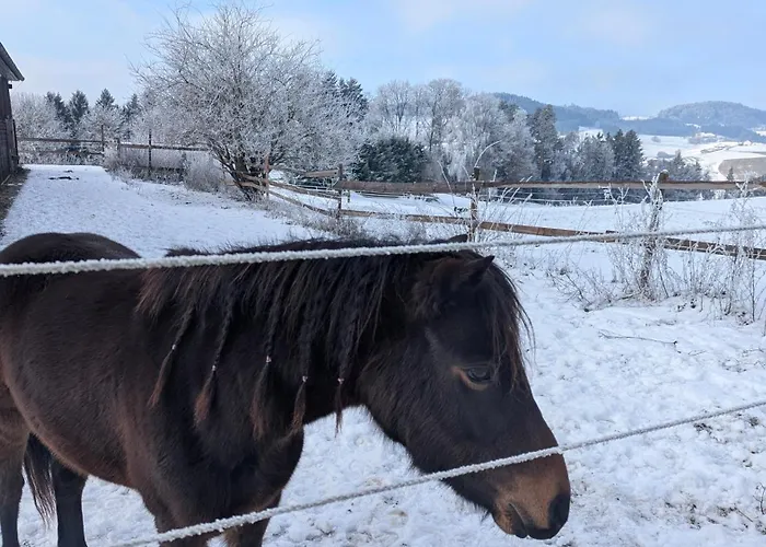 Pferdeparadies Stein Stierberg