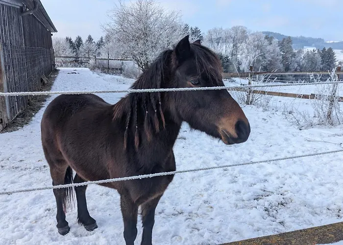 Apartment Pferdeparadies Stein Stierberg