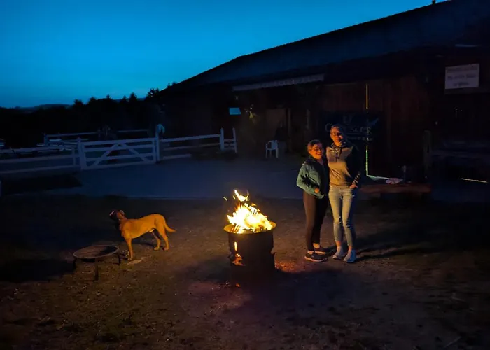Pferdeparadies Stein * Stierberg