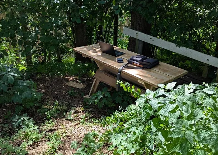 Pferdeparadies Stein