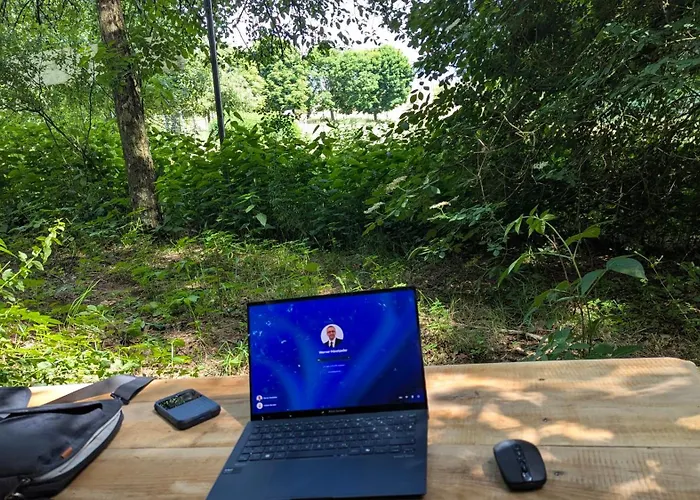 Pferdeparadies Stein * Stierberg