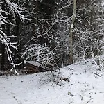 Pferdeparadies Stein