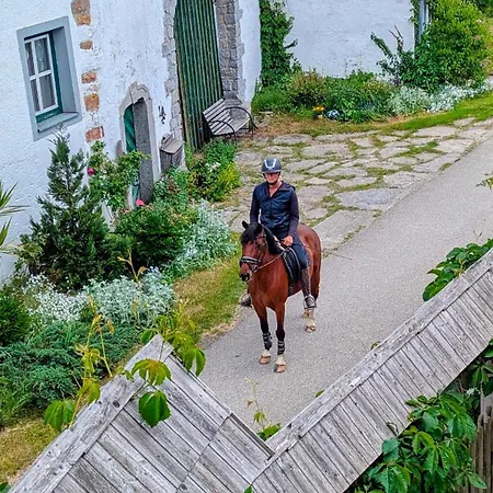 Pferdeparadies Stein * Stierberg
