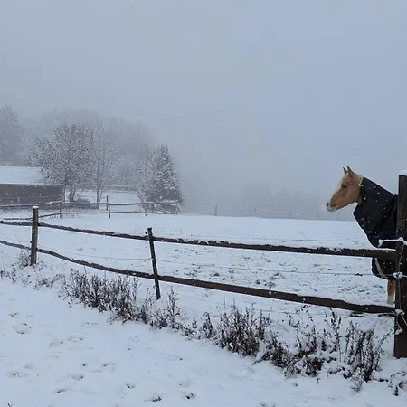 Pferdeparadies Stein Lejlighed Stierberg