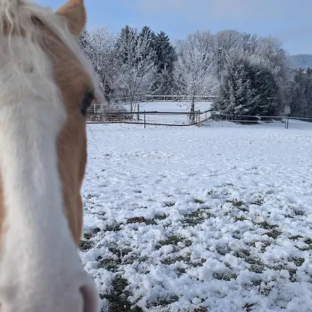 Lejlighed Pferdeparadies Stein Stierberg