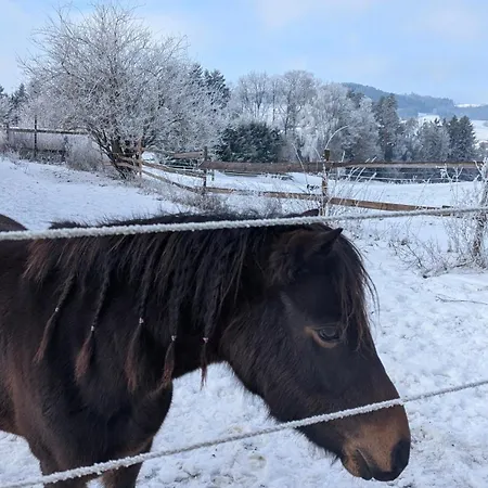 Pferdeparadies Stein Stierberg