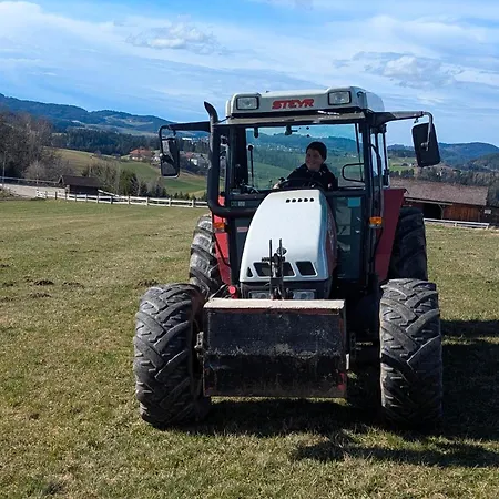 Lejlighed Pferdeparadies Stein *