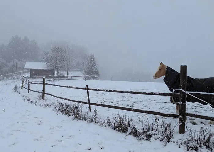Pferdeparadies Stein Lejlighed Stierberg