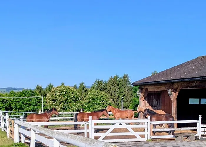 Lejlighed Pferdeparadies Stein Stierberg