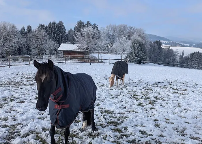 Pferdeparadies Stein Lejlighed