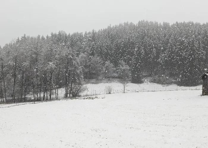 Pferdeparadies Stein Lejlighed *