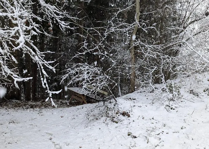 Pferdeparadies Stein