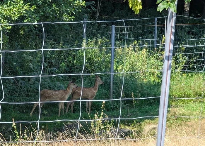 Pferdeparadies Stein * Stierberg