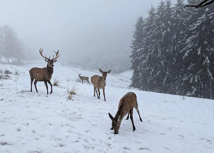 Lejlighed Pferdeparadies Stein *