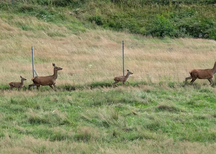 Pferdeparadies Stein Lejlighed *