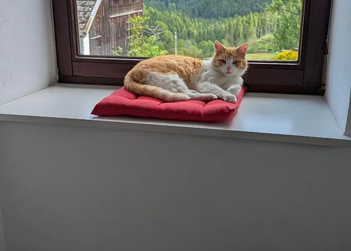 Pferdeparadies Stein Lejlighed Stierberg