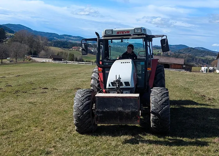 Lejlighed Pferdeparadies Stein *