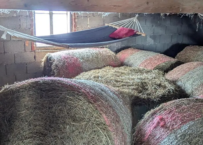 Pferdeparadies Stein *